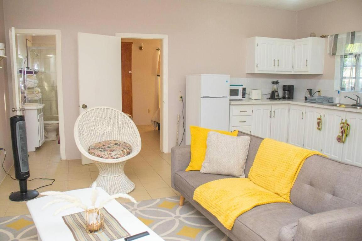 Gorgeous 2-Bed Apartment 3 In St Johns Cosy St. John's エクステリア 写真